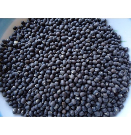 Urad Sabut Dal